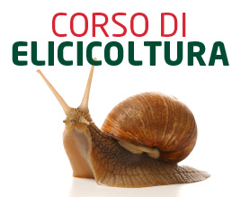 Corso di Elicicoltura